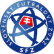 斯伐地区logo