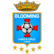 布鲁明 logo