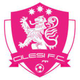西莱西FC logo