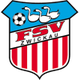 茨维考 logo